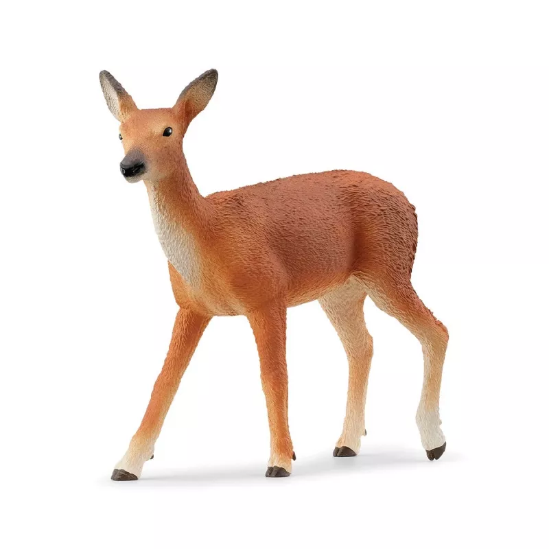 Zestaw Zwierzęta Leśne Schleich 42658S Kolorowe Akcesoria Do Karmienia