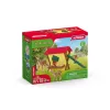 Zestaw Zwierzęta Leśne Schleich 42658S Kolorowe Akcesoria Do Karmienia