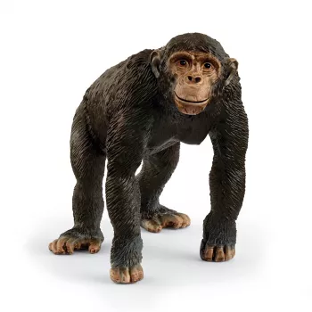 schleich WILD LIFE Szympans, 3 lat(a), Wielokolorowy