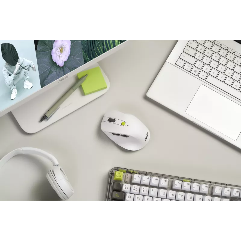 Mysz ASUS MD105 /VT-GN — praworęczna, bezprzewodowa RF + Bluetooth, 2400 DPI, kółko przewijania, zasilana bateriami, biała/zielona