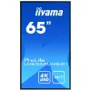 Cyfrowy panel informacyjny IIYAMA LH6552UHS-B1 64,5 cala IPS 4K 3840x2160 500 cd/m² Android 8.0 24/7 Czarny