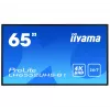 Cyfrowy panel informacyjny IIYAMA LH6552UHS-B1 64,5 cala IPS 4K 3840x2160 500 cd/m² Android 8.0 24/7 Czarny
