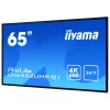 Cyfrowy panel informacyjny IIYAMA LH6552UHS-B1 64,5 cala IPS 4K 3840x2160 500 cd/m² Android 8.0 24/7 Czarny