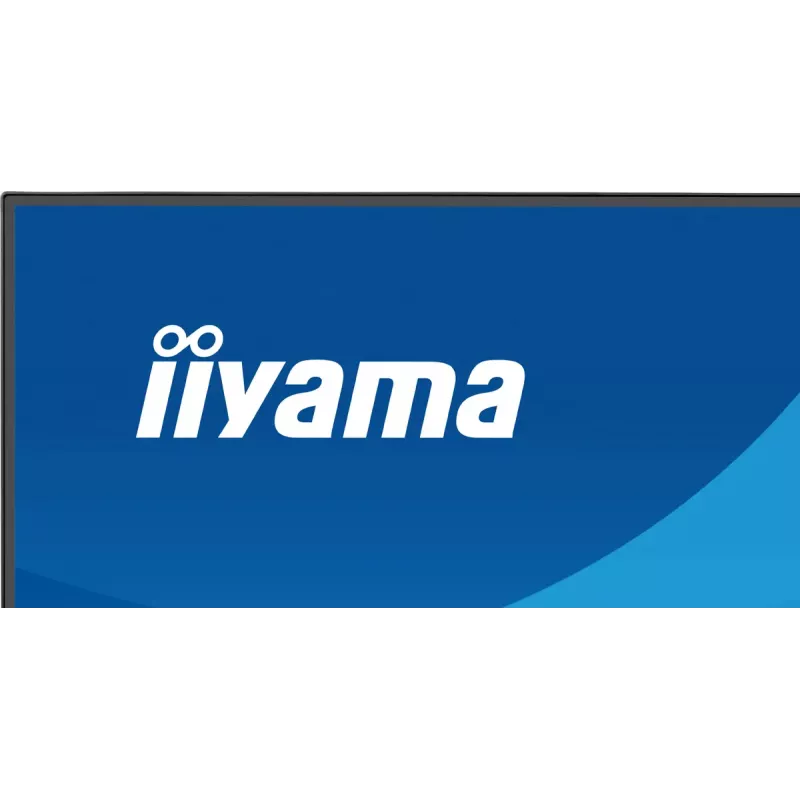 Monitor IIYAMA ProLite X2491HS-B1 23,8 cala (60,5 cm) Full HD IPS LCD, 1920×1080, kąty widzenia 178°, matowy, wbudowane głośniki, VESA, czarny
