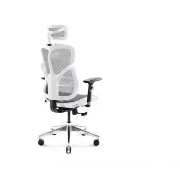 Ergonomiczne krzesło biurowe Diablo Chairs V-Basic biały-szary — regulowana wysokość i pochylenie, podłokietniki, podparcie lędźwiowe