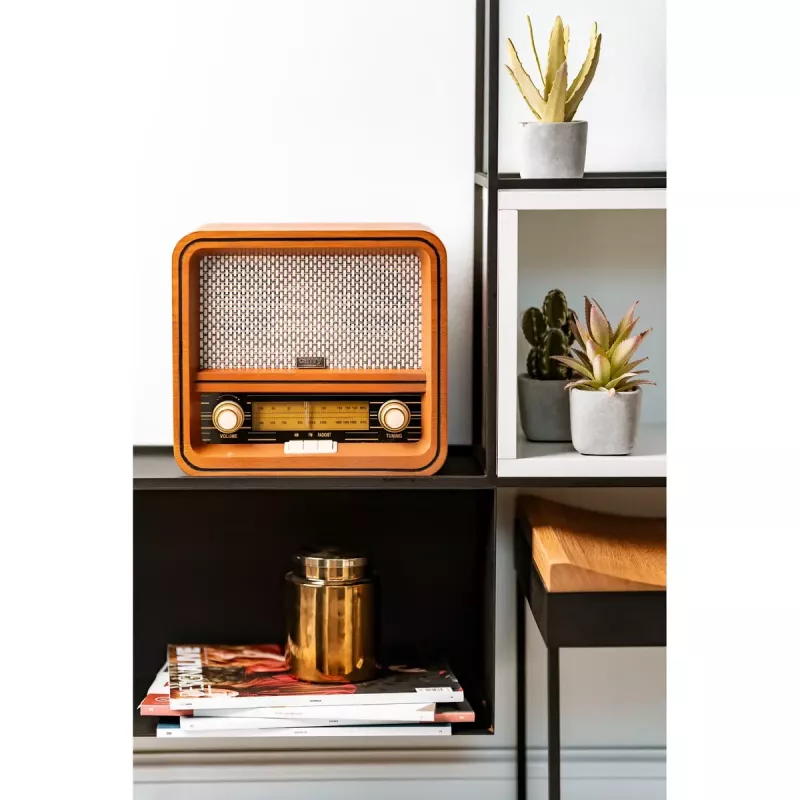 Radio osobiste Camry Premium CR 1188