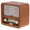 Radio osobiste Camry Premium CR 1188