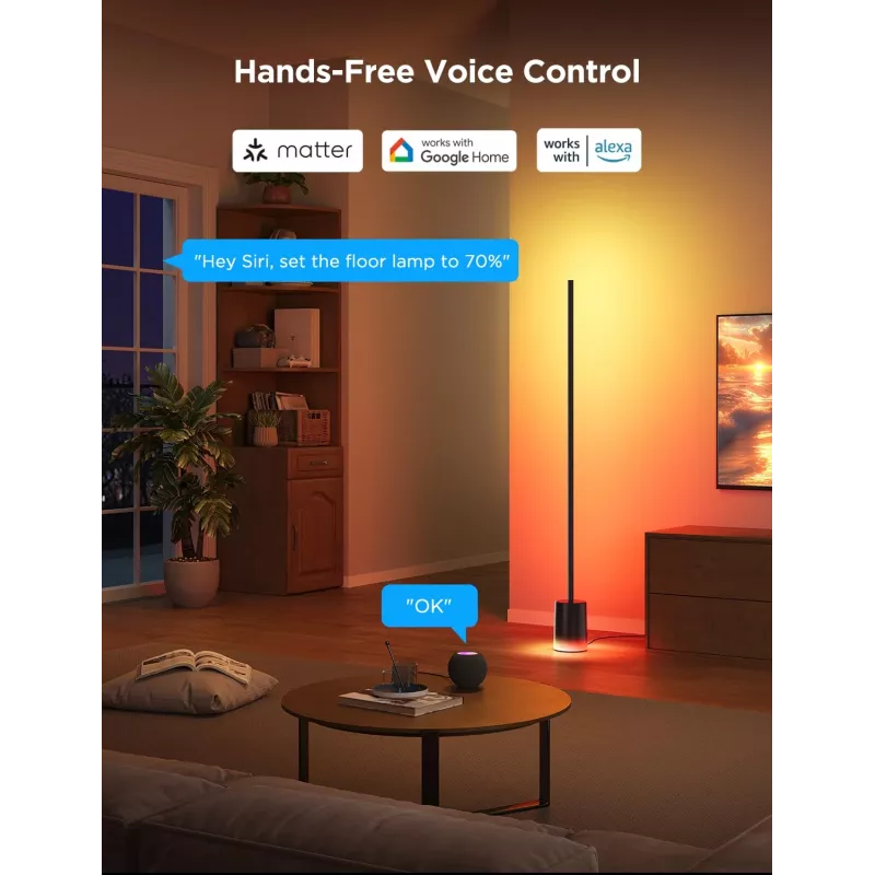 Govee Lampa podłogowa 2, gotowa na Matter, czarna