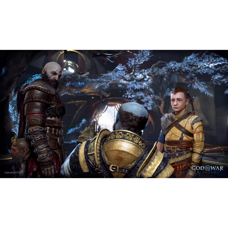 Sony God of War Ragnarök, PlayStation 5, M (Mature), nośnik fizyczny