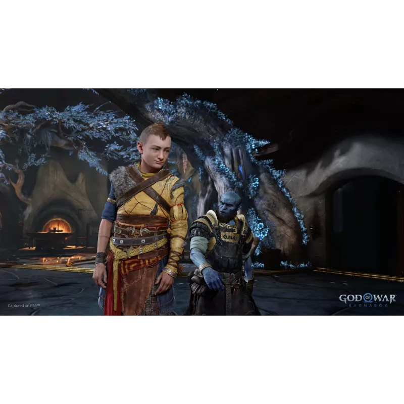 Sony God of War Ragnarök, PlayStation 5, M (Mature), nośnik fizyczny