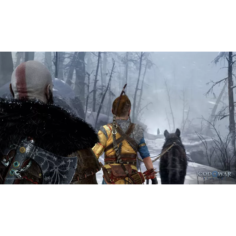 Sony God of War Ragnarök, PlayStation 5, M (Mature), nośnik fizyczny