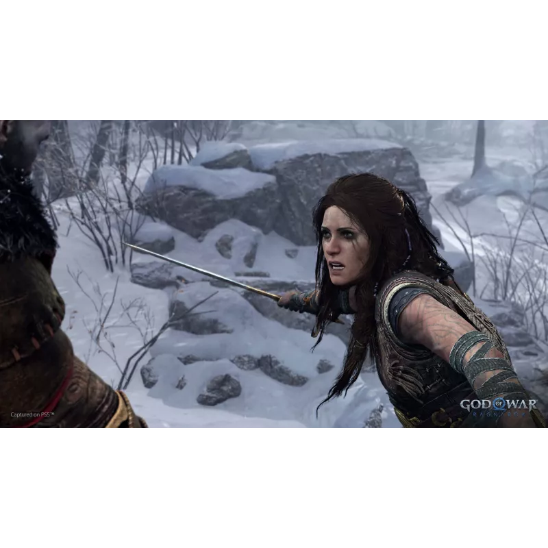 Sony God of War Ragnarök, PlayStation 5, M (Mature), nośnik fizyczny