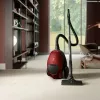 Electrolux PD82-ANIMA 3,5 l Odkurzacz cylindryczny Na sucho 600 W Worek na kurz