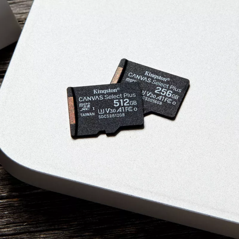 Kingston Technology Canvas Select 256GB micSDXC Plus 100R A1 C10 Card + ADP
