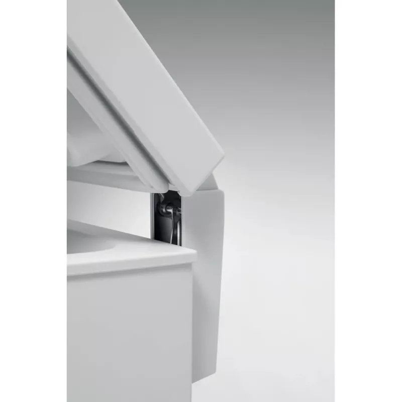 Whirlpool WH1410 E2 2 Zamrażarka skrzyniowa Wolnostojąca 132 L Biały