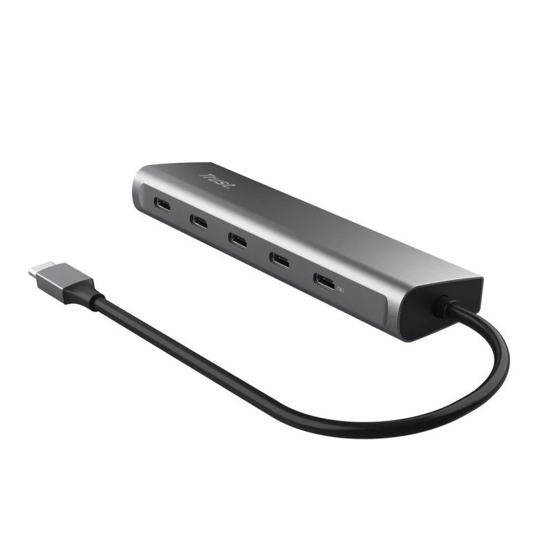 Trust Halyx USB 3.2 Gen 1 (3.1 Gen 1) Typ-C Srebrny