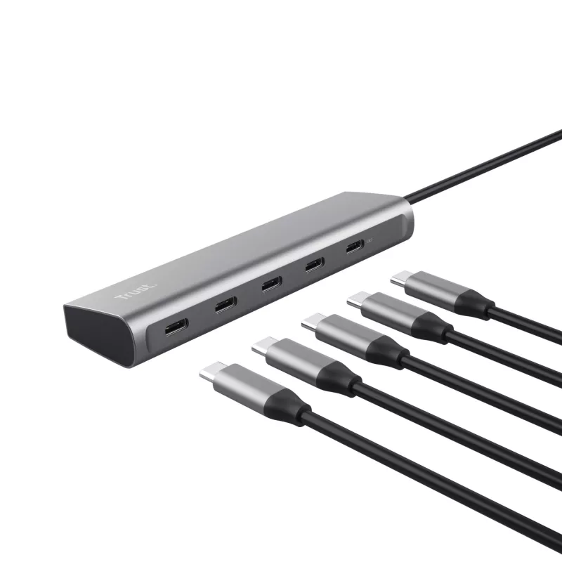 Trust Halyx USB 3.2 Gen 1 (3.1 Gen 1) Typ-C Srebrny