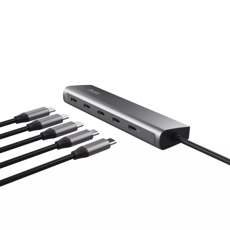 Trust Halyx USB 3.2 Gen 1 (3.1 Gen 1) Typ-C Srebrny