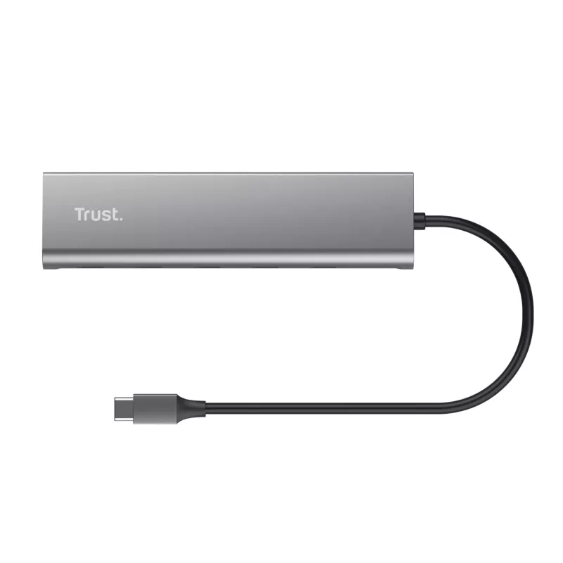 Trust Halyx USB 3.2 Gen 1 (3.1 Gen 1) Typ-C Srebrny