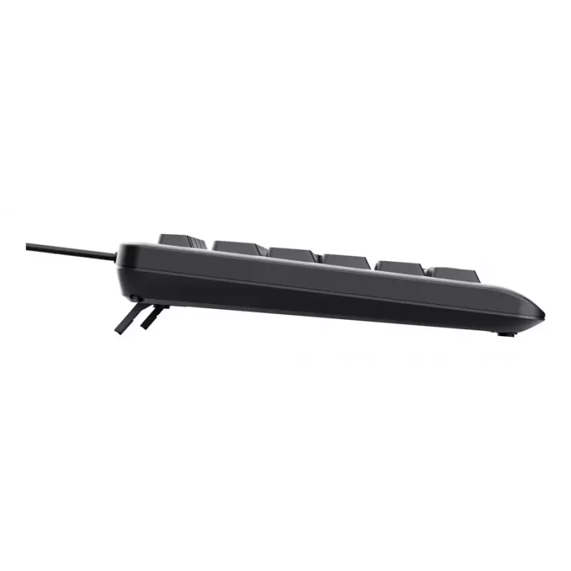 Przewodowa klawiatura pełnowymiarowa TRUST Primo Illuminated USB QWERTZ niemiecka, 104 klawisze, czarna, kabel 1,8 m