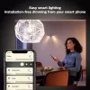 Philips Hue biały A60 – inteligentna żarówka E27 – 800 (2 szt.)