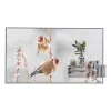 LG 55EW5P-M Wyświetlacz reklamowy 139,7 cm (55 cali) OLED 600 cd/m² Full HD Srebrny Ekran dotykowy 18/7