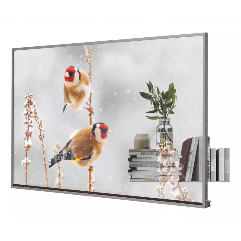 LG 55EW5P-M Wyświetlacz reklamowy 139,7 cm (55 cali) OLED 600 cd/m² Full HD Srebrny Ekran dotykowy 18/7