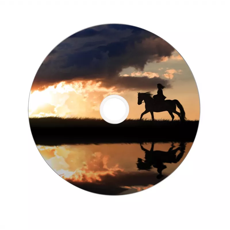 Verbatim 43667 pusta płyta DVD 8,5 GB DVD+R DL 25 szt.