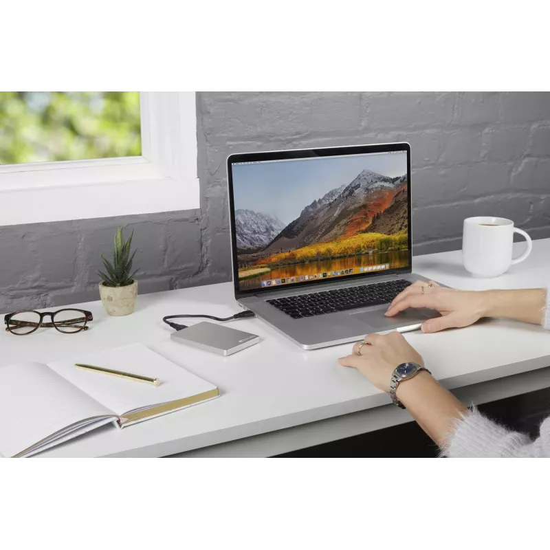 Verbatim Store 'n' Go ALU cienki Przenośny Dysk Twardy 1TB Srebrny