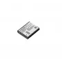Ricoh DB-110 Litowo-jonowy (Li-Ion)