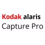Kodak Alaris Capture Pro, Group D, 1 rok, 1 rok(i), Licencja