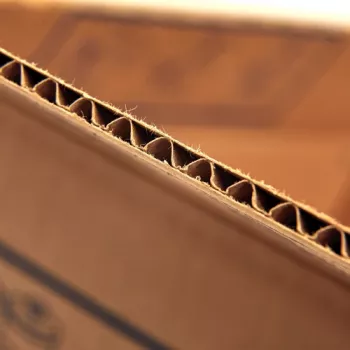 Fellowes 6203601 pudełko do przechowywania Prostokątny Tektura Naturalny