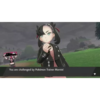 Nintendo Pokemon Sword Standard Nintendo Switch
