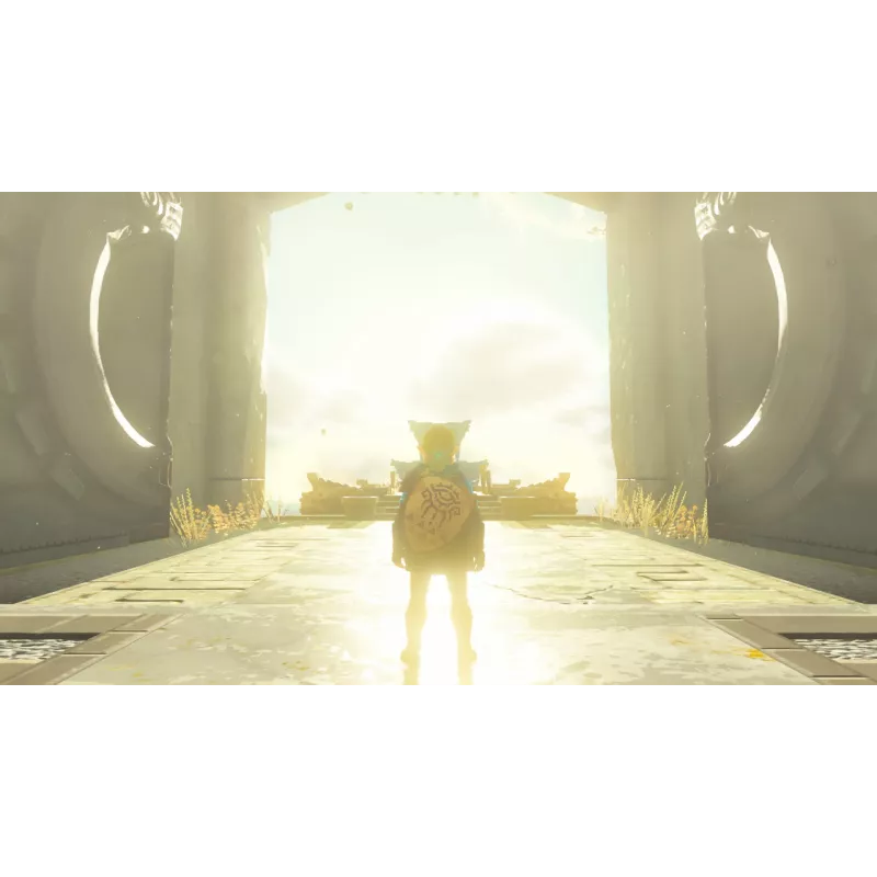 Nintendo The Legend of Zelda: Tears of the Kingdom Standard Nintendo Switch