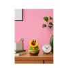 Nintendo Talking Flower, Figurka kolekcjonerska, Gra wideo