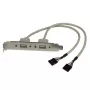 StarTech.com Adapter ślepej zaślepki 2 porty USB A żeński, 2 x IDC, 2 x USB A, 0,286 m, Srebrny