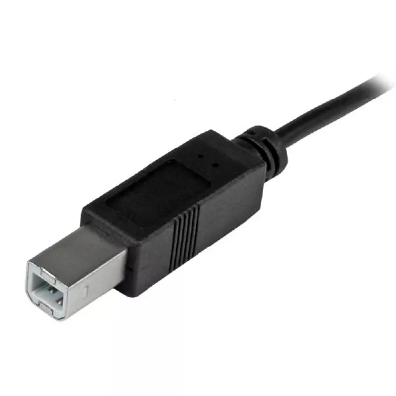 StarTech.com Kabel USB-C na USB-B - M/M - 2 m (6 stóp) - USB 2.0