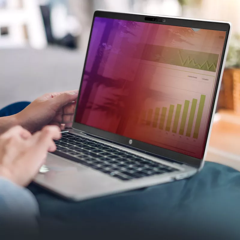 StarTech.com 14-calowy filtr prywatyzacyjny do laptopów 16:9, odwracalny filtr w kolorze złotym o zwiększonej prywatności, filtr bezpieczeństwa komputera, zdejmowalna osłona/ekran ochronny, +/- 30°