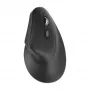 Mysz Kensington Pro Fit Ergo MY630 EQ RF Wireless Bluetooth USB Type-A