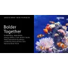 Xerox Genuine ® VersaLink® C625 Kolorowe urządzenie wielofunkcyjne cyjan Kaseta z tonerem o wysokiej wydajności (16000 stron) - 006R04637