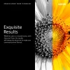 Xerox cyjan Standard Capacity kaseta z tonerem (1.500 stron), 1500 stron, cyjan, 1 szt.