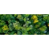 Oryginalny toner Xerox Phaser® 6510, WorkCentre® 6515 Czarny o wysokiej wydajności (5500 stron) - 106R03480