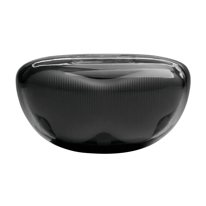 JBL Tune Flex 2 Ghost Edition Zestaw słuchawkowy True Wireless Stereo (TWS) Douszny Rozmowy/Muzyka Bluetooth Czarny