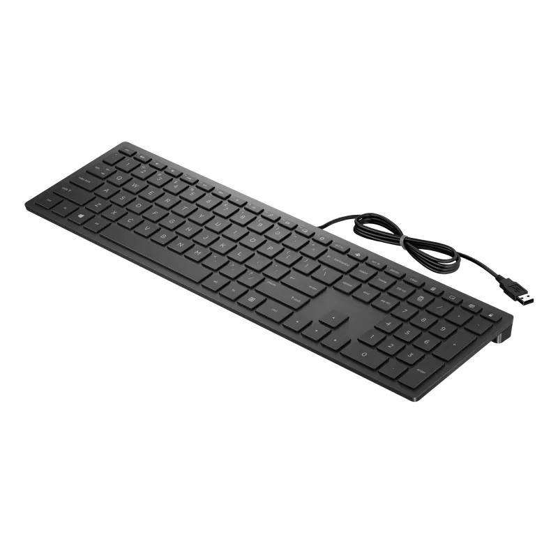 HP Pavilion Wired klawiatura 300, pełnowymiarowa (100%), przewodowa, USB, mechaniczna, czarna