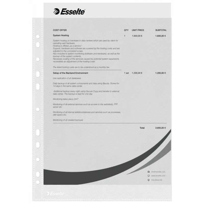 Esselte Koszulki plastikowe A4 - Economy -, 210 x 297 mm (A4), Przezroczysty, Polipropylen (PP), Pionowa, Górne, 230 mm