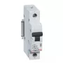 Legrand RX3 wyłącznik nadprądowy Miniaturowy wyłącznik nadprądowy Typ B 1