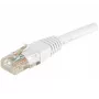 Hypertec 246783-HY kabel sieciowy Biały 1 m Cat6 U/UTP (UTP)