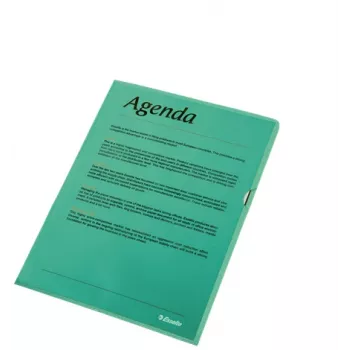 Esselte Folder 105my A4 Box of 100, A4, Polipropylen (PP), Zielony, Pionowa, 220 mm, 1 mm