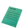 Esselte Folder 105my A4 Box of 100, A4, Polipropylen (PP), Zielony, Pionowa, 220 mm, 1 mm