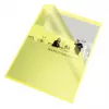 Esselte Folder 105my A4 pudełko 100 szt., A4, polipropylen (PP), żółty, pionowa, 220 mm, 1 mm